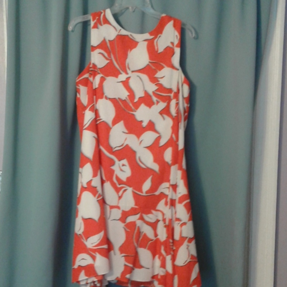 Ladies dress